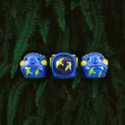 Dream Bird Spaceship