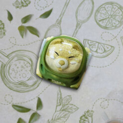 Matcha Doge Spaceship